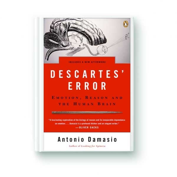 Descartes' Error book cover